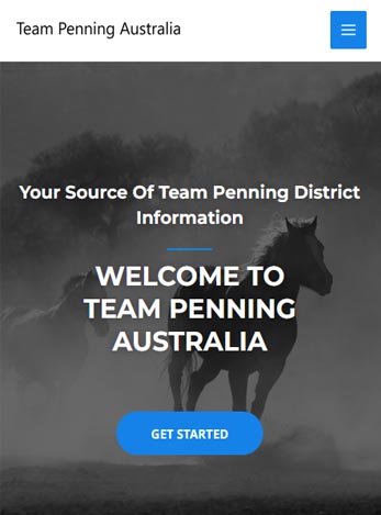 Team-Penning-horse-website-client-build